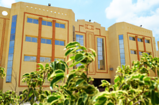 King Mariout Technology Institute